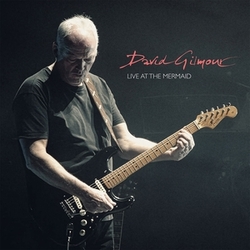 David Gilmour Live At The Mermaid VINYL LP