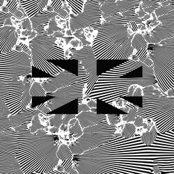 Moire No Future Vinyl LP