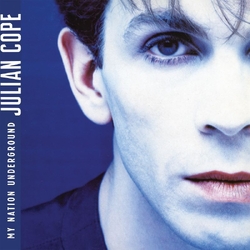 Julian Cope My Nation Underground VINYL LP