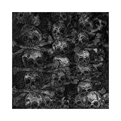 Secret Agnus Dei Vinyl LP