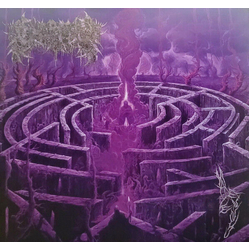 Civerous Maze Envy Vinyl LP