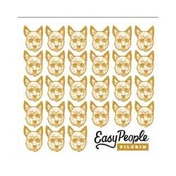Pilgrim Easy People Vinyl LP