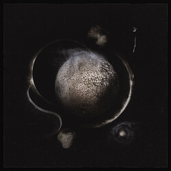 Enthroned Cold Black Suns Vinyl LP