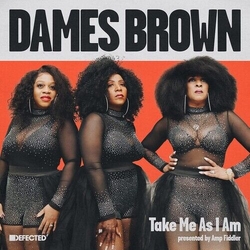 Dames Brown Take Me As I Am PRESENTED BY AMP FIDDLER VINYL 12INCH