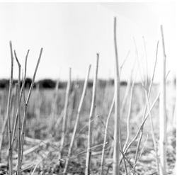 Recondite On Acid Vinyl LP