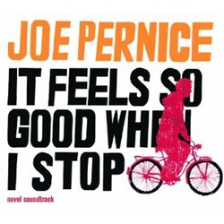 Joe Pernice It Feels So Good When I Stop VINYL LP