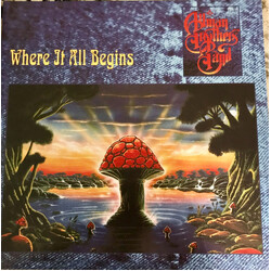 The Allman Brothers Band Where It All Begins Vinyl 2 LP