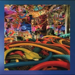 Sea Moss / Miscomings Big Tube Scene VINYL LP