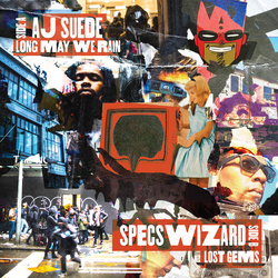 Aj Suede / Specswizard Long May We Rain / Lost Gems VINYL LP