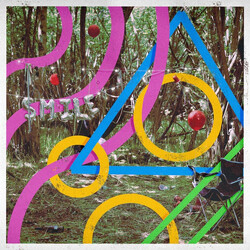 Bears In Trees And Everybody Else Smiled Back Vinyl LP