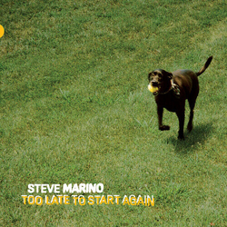 Steve Marino Too Late To Start Again VINYL LP