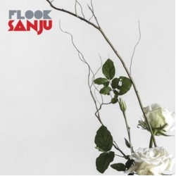 Flook Sanju VINYL LP