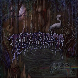 Florist Adrift VINYL LP