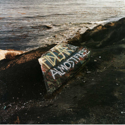 Fidlar Almost Free Vinyl LP