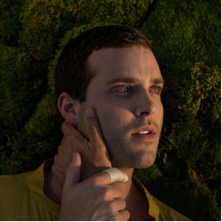 Baths Romaplasm VINYL LP