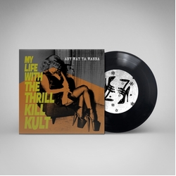 My Life With The Thrill Kill Kult Any Way Ya Wanna VINYL 7INCH