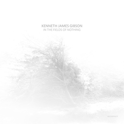 Kenneth James Gibson In The Fields Of Nothin VINYL LP