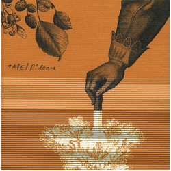 Tape Rideau Vinyl LP
