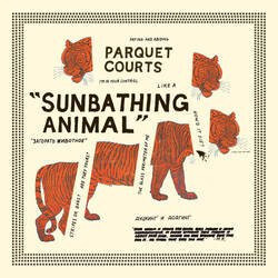 Parquet Courts Sunbathing Animal VINYL LP