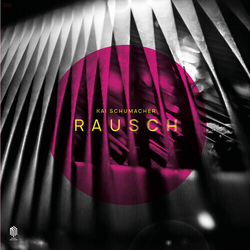 Kai Schumacher Rausch VINYL LP