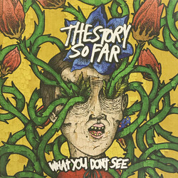 The Story So Far (2) What You Don't See Vinyl LP