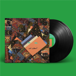 Animal Collective Isnt It Now? VINYL LP