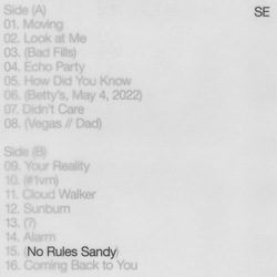 Sylvan Esso No Rules Sandy VINYL LP