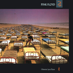 Pink Floyd A Momentary Lapse Of Reason Vinyl LP