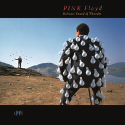 Pink Floyd Delicate Sound Of Thunder Vinyl 2 LP