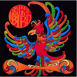 Rare Bird Rare Bird (Orange Vinyl) Vinyl LP