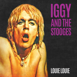 Igg And The Stooges Louie Louie VINYL 7INCH