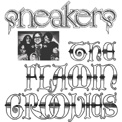 Flamin Groovies Sneakers VINYL LP