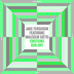 Jake Ferguson Emotions Run Dry Vinyl LP
