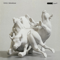 Gaika Seguridad VINYL LP