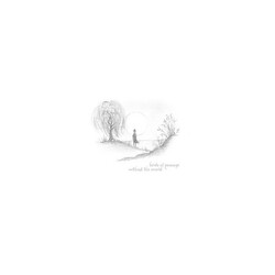 Birds Of Passage Without The World Vinyl LP