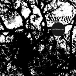 Jeff Liberman Synergy VINYL LP