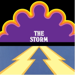 Storm The Storm VINYL LP