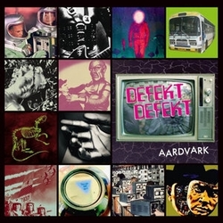 Defekt Defekt Aardvark VINYL LP