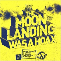 Reznik & Mikesh The Moon Landing Was A Hoax VINYL 12INCH