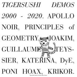 Various Artists Tigersushi Demos 2000-2020 VINYL LP