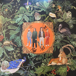 Don Broco Amazing Things Vinyl LP