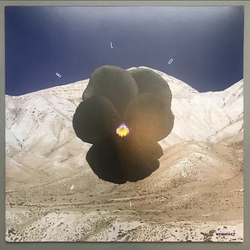 Archil & Leon Blooming VINYL 12INCH