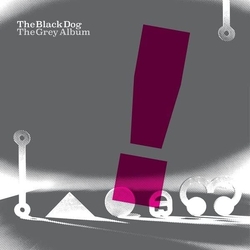 Black Dog The Grey Album VINYL LP
