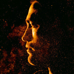 Stuart A. Staples Music For Claire Denis High Life VINYL LP
