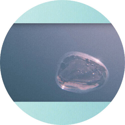 Nachtbraker Wyfasita Remix Ep Vinyl 12"