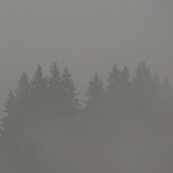 Max Loderbauer Donnerwetter Vinyl LP