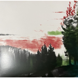 Rico Puestel Exhibition 4 Solling Ii VINYL 12INCH