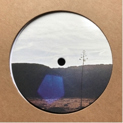 Jakob Seidensticker After Were All Gone Ep VINYL 12INCH