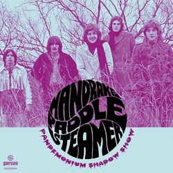 Mandrake Paddle Steamer / Fairfield Ski Pandemonium Shadow Show / No Good Child VINYL 7INCH