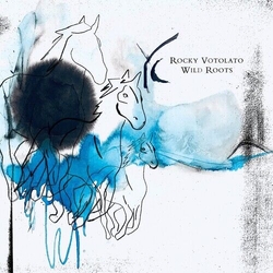 Rocky Votolato Wild Roots Vinyl LP